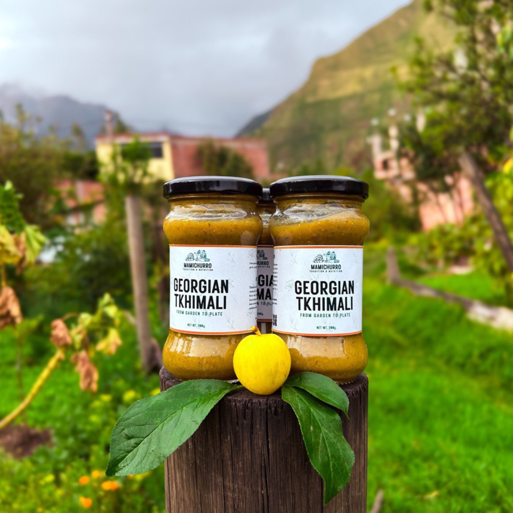 Tkhimali Georgiano (Verde, Oscuro, Amarillo)